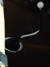 fourfloor.gif (64748 bytes)