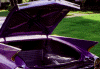 60cadtrunk.gif (40873 bytes)